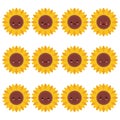 Collection of difference emoticon icon of cute sunflower on the white background vector illustration