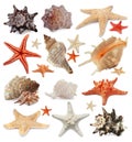 Collection of different beautiful sea stars and shells on white background Royalty Free Stock Photo