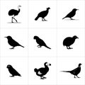 A collection of different bird silhouettes in a grid pattern Royalty Free Stock Photo