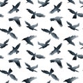 Collection of different birds position. Watercolor hand drawn seamless pattern with illustration of flock of crows and