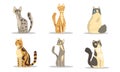 Collection of Different Cats Breeds, Beautiful Pet Animals of Various Colors Vector Illustration on White Background