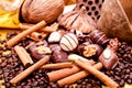Collection of different chocolate pralines truffels Royalty Free Stock Photo