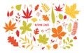 Collection of different colorful autumn tree leaves isolated on white background - oak, maple, rowan, birch. Beautiful Royalty Free Stock Photo