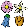 Collection of different colors, spring mood, gardening, illustrations on a white background