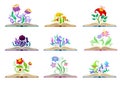 Collection of different fabulous mushrooms and flowers. Vector illustration on white background.