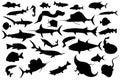 Collection of different fish silhouettes