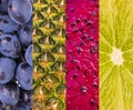 Collection with different fruits, berries and vegetables Royalty Free Stock Photo