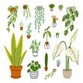 Collection of 18 different home plants, vector illustrations