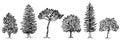 Collection of different kinds of trees.