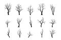 Collection different naked trees silhouettes. Vector illustration