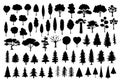 Collection of different park, forest, conifer cartoon trees silhouettes in black color