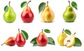 Collection of different pears isolated on white background. Set of multiple images. Royalty Free Stock Photo