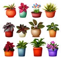 Collection of Different Plants Grup