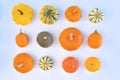 Collection of different pumpkins and squashes