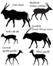 Collection of different species of antelopes in silhouette