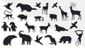 collection of different types animals isolated Vector Silhouettes Royalty Free Stock Photo