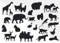 collection of different types animals isolated Vector Silhouettes Royalty Free Stock Photo