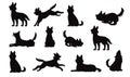 collection of different types animals isolated Vector Silhouettes Royalty Free Stock Photo