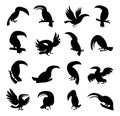 collection of different types birds isolated Vector Silhouettes Royalty Free Stock Photo