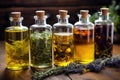 a collection of different types of infused oils Royalty Free Stock Photo