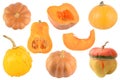 Collection different types pumpkins from different angles isolated on white Royalty Free Stock Photo