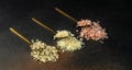 collection of different types of salt on a dark background. Long banner format. top view. copy space for text Royalty Free Stock Photo