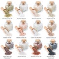 Collection of different types of salt isolated on Royalty Free Stock Photo