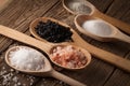 Collection of different types of salt Royalty Free Stock Photo