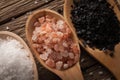 Collection of different types of salt Royalty Free Stock Photo