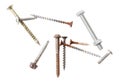 A collection of different types of screws and nails Royalty Free Stock Photo