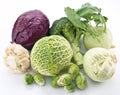 Collection of different varieties of cabbage Royalty Free Stock Photo