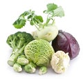 Collection of different varieties of cabbage Royalty Free Stock Photo