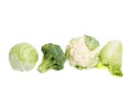 Collection of different varieties of cabbage Royalty Free Stock Photo