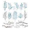 Watercolor set of winter branches