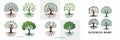 Tree Logo Design Nature Inspired Roots, Branches, and Leaves Concepts for Businesses Royalty Free Stock Photo