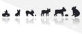 collection of dog growing up isolated Vector Silhouettes