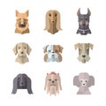 Collection of dog icons in flat style Royalty Free Stock Photo