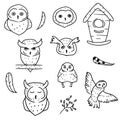 Collection of doodle elements and owls on white background. Set of birds drawn in simple style. Nesting box owls and feather