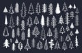 Collection of doodle pine fir conifer trees