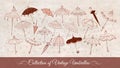 Collection of doodle vintage umbrellas on vintage paper background. Vector sketch illustration. Royalty Free Stock Photo