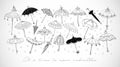 Collection of doodle vintage umbrellas on white background. Vector sketch illustration. Cute doodle coloring page. Royalty Free Stock Photo