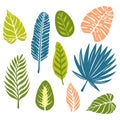 Set of Hand Drawn Doodle Tropical Leaves. Vector Illustration.