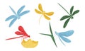 Collection of Dragonflies, Beautiful Colorful Flying Insects Vector Illustration