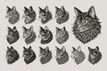Collection of drawing side view LaPerm cat head illustration design