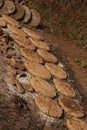 Collection of dried Cow and buffalo dung pets used for sustaining fires in India Royalty Free Stock Photo