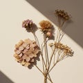 A collection of dried flowers on a neutral background. The arrangement includes a Royalty Free Stock Photo