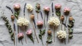 Of dried flowers and plant elements arranged on a textured white Royalty Free Stock Photo