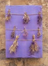 collection of dried wildflower bouquets hung upside down on a purple cloth background