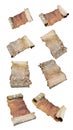 Collection of drift wood log isolated Royalty Free Stock Photo