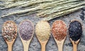 Collection of dry organic rice seeds in wooden spoon with dry rice ear Royalty Free Stock Photo